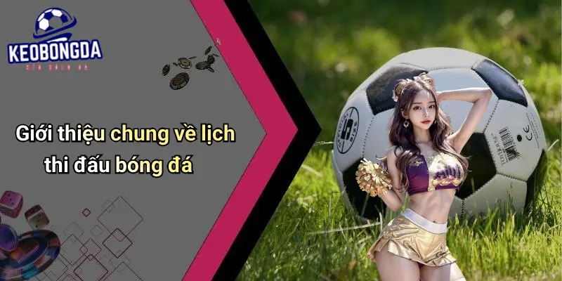 Giới thiệu chung về lịch thi đấu bóng đá