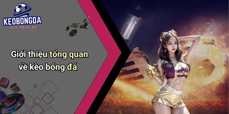 Giới thiệu tổng quan về kèo bóng đá