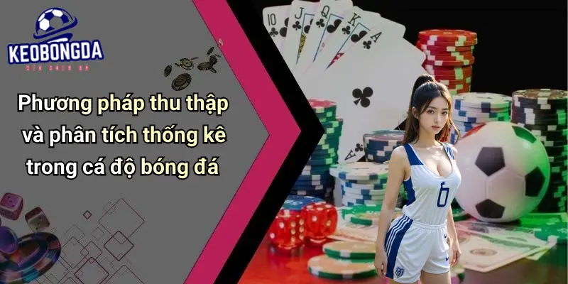 Phương pháp thu thập và phân tích thống kê trong cá độ bóng đá