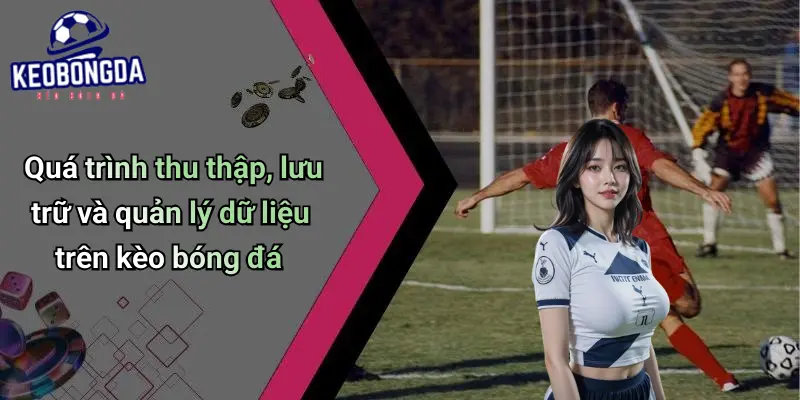 Quá trình thu thập, lưu trữ và quản lý dữ liệu trên kèo bóng đá
