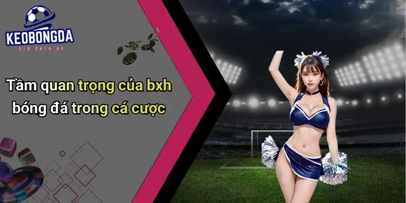 Tầm quan trọng của bxh bóng đá trong cá cược