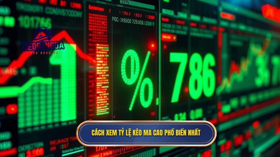 Cách đọc các loại Tỷ lệ kèo ma cao phổ biến nhất