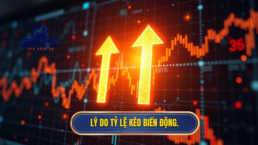Tại sao tỷ lệ kèo lại biến động?