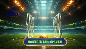 Tài xỉu trận này đang “mở” hay “đóng”? đọc sao cho chuẩn